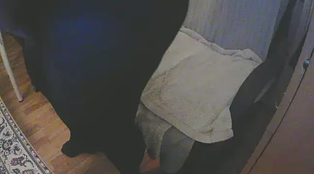 szadamo online show from December 11, 2024, 4:53 pm