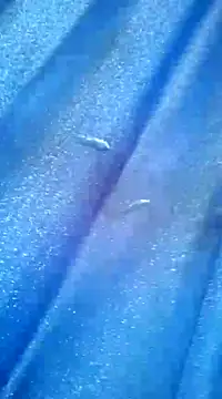 Snapshot of Luismiguel55 chatting on March 8, 2025, 10:11 am Luismiguel55 online show from March 8, 2025, 10:11 am