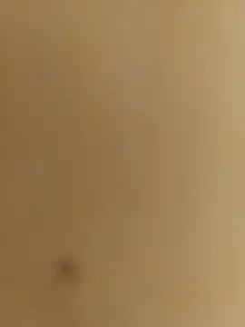 mprena online show from September 15, 2025, 2:17 pm