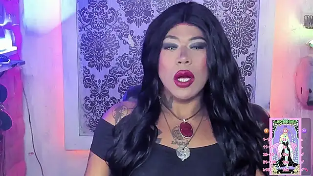 tsviolett online show from November 4, 2025, 6:51 pm