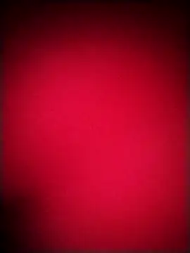 EvaCristal online show from December 20, 2025, 9:49 am