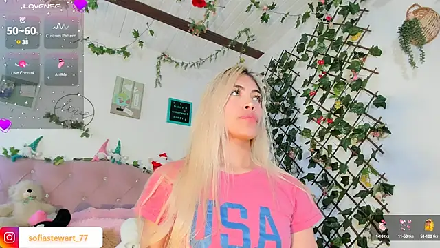 steewart  online show from December 29, 2024, 11:29 pm