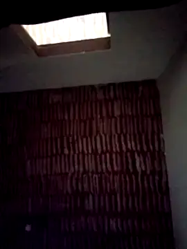 catdool online show from January 22, 2025, 8:18 am