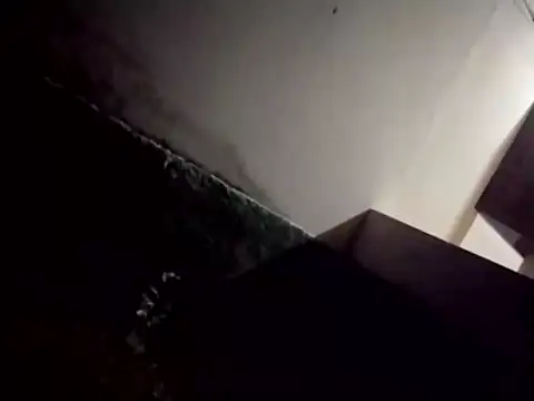 catdool online show from February 28, 2025, 12:43 am