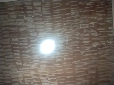 catdool online show from September 22, 2025, 5:04 pm