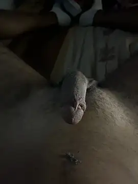 mamoubz online show from November 3, 2025, 11:04 pm