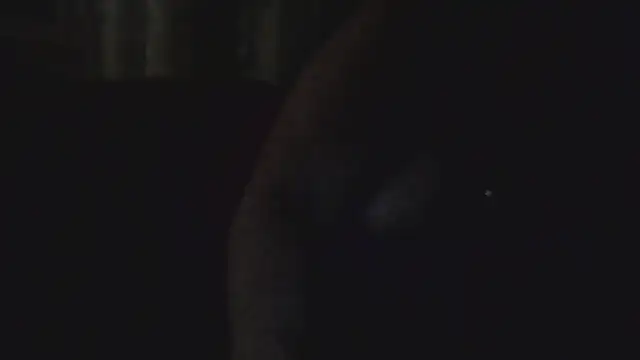 Dolcezza online show from November 24, 2025, 3:17 am