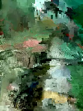 Subhajit12Jana23 online show from March 19, 2026, 6:50 am