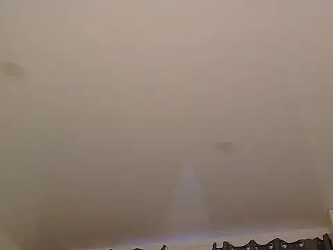 LionEdwin online show from December 20, 2025, 7:37 am