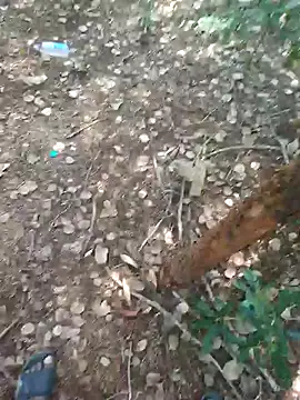 rameshmry1 online show from February 21, 2026, 8:59 am