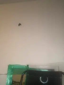 Foreignthababyy online show from January 13, 2026, 3:12 am