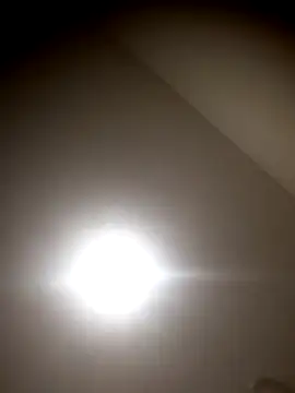 sua sub  online show from November 5, 2025, 11:43 am