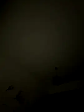 1Aleks13 online show from November 12, 2025, 1:39 am