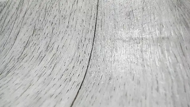 LittleSonya online show from December 15, 2025, 4:55 pm