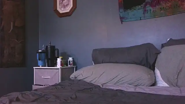 hpluvsplata online show from November 24, 2025, 1:33 pm