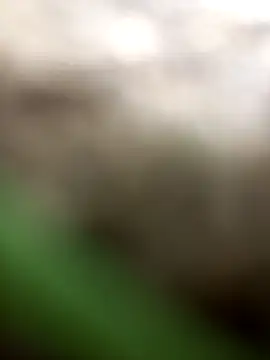 Snapshot of FinableKnee chatting on October 6, 2025, 3:04 am FinableKnee online show from October 6, 2025, 3:04 am