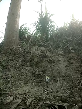 Snapshot of FinableKnee chatting on October 15, 2025, 4:01 am FinableKnee online show from October 15, 2025, 4:01 am