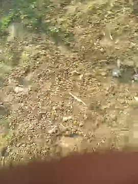 Snapshot of FinableKnee chatting on October 27, 2025, 5:11 am FinableKnee online show from October 27, 2025, 5:11 am