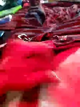 MrDaRkO 420 online show from January 8, 2025, 9:00 am