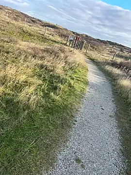 Snapshot of Mark3706 chatting on December 3, 2024, 11:55 am Mark3706 online show from December 3, 2024, 11:55 am