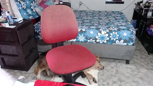 Barbiegomez online show from November 26, 2025, 9:27 pm