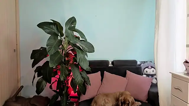 Snapshot of melisa_es chatting on February 5, 2026, 2:54 pm melisa es online show from February 5, 2026, 2:54 pm