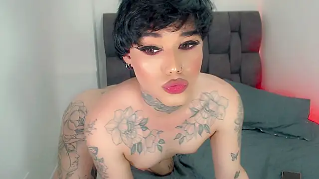 little star porn online show from June 5, 2026, 6:52 am