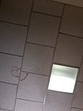 curiouscock38 online show from October 26, 2025, 8:42 am