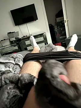 Furdale online show from October 13, 2025, 1:55 pm