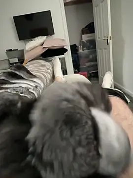 Furdale online show from October 17, 2025, 1:57 pm