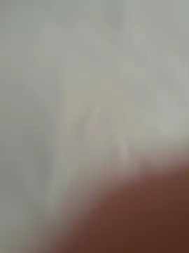 Furdale online show from October 21, 2025, 10:49 am