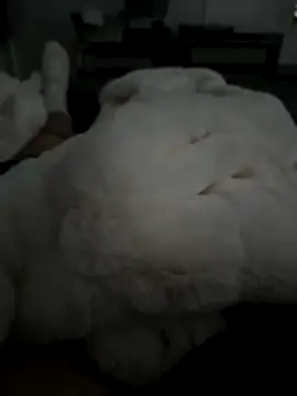 Furdale online show from November 5, 2025, 2:50 pm