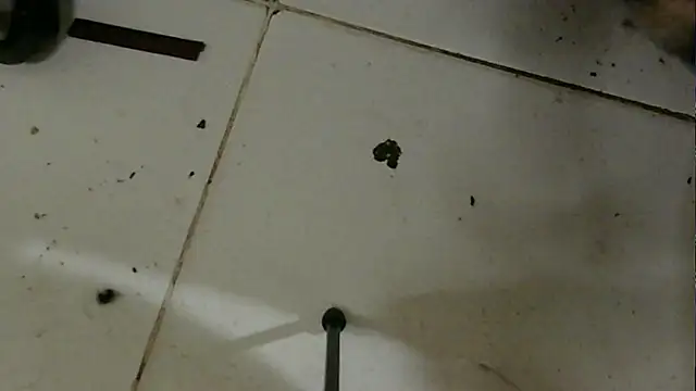 Snapshot of chino_roz chatting on February 19, 2025, 3:38 pm chino roz online show from February 19, 2025, 3:38 pm