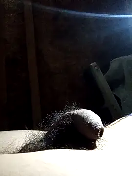 rodovlaz online show from November 12, 2025, 3:40 am