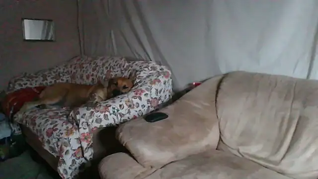 xykenrah48 online show from March 18, 2026, 1:20 am