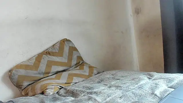 texpig online show from March 7, 2026, 4:04 pm