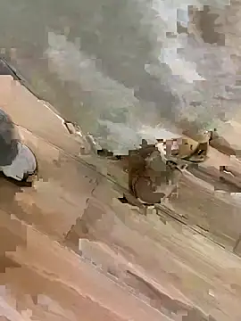 TBgril online show from January 13, 2026, 10:53 am