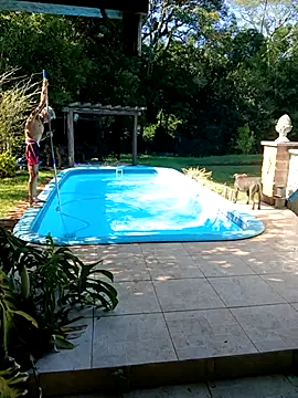 Snapshot of dutra498 chatting on February 3, 2026, 11:59 am dutra498 online show from February 3, 2026, 11:59 am