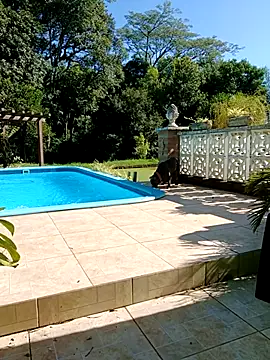 Snapshot of dutra498 chatting on February 9, 2026, 7:18 pm dutra498 online show from February 9, 2026, 7:18 pm