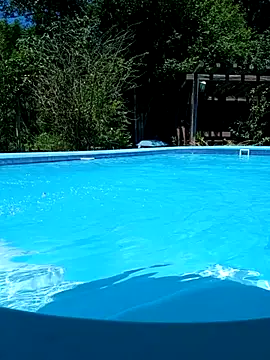 Snapshot of dutra498 chatting on February 11, 2026, 4:23 pm dutra498 online show from February 11, 2026, 4:23 pm