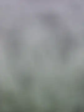 Snapshot of fuckineverett chatting on March 15, 2025, 3:48 pm fuckineverett online show from March 15, 2025, 3:48 pm