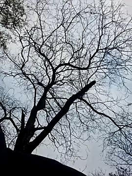 Snapshot of Keli_Jessi chatting on November 19, 2025, 1:33 pm Keli Jessi online show from November 19, 2025, 1:33 pm