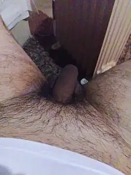 Snapshot of pedrosantos3366 chatting on March 29, 2026, 4:56 am pedrosantos3366 online show from March 29, 2026, 4:56 am