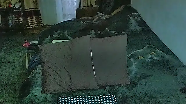 sex2 online show from April 9, 2026, 12:43 am