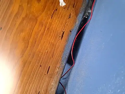 Eumanzor online show from January 18, 2026, 8:56 pm