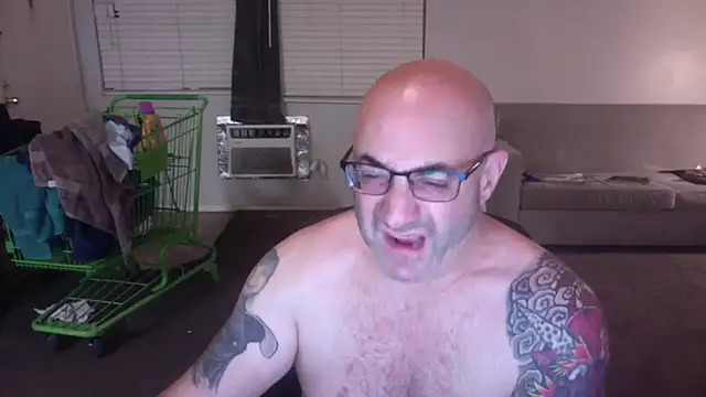 palidin1 online show from November 26, 2025, 1:23 pm