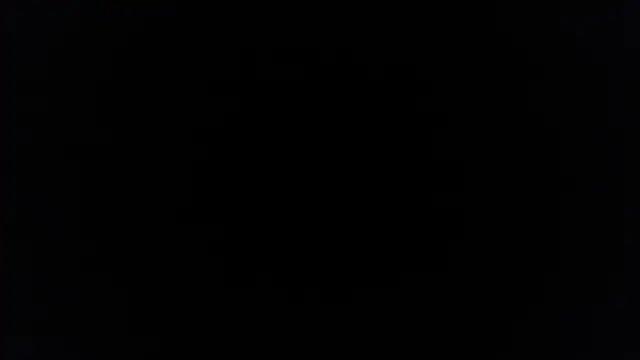 palidin1 online show from December 5, 2025, 7:43 pm