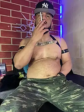 the master foal  online show from February 19, 2026, 12:56 pm