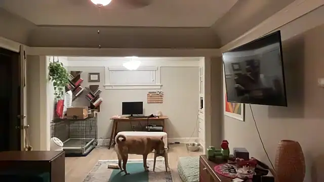 dreamyriri online show from March 15, 2026, 1:06 pm