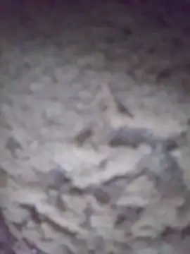 king-lobo-act online show from October 29, 2025, 2:19 pm